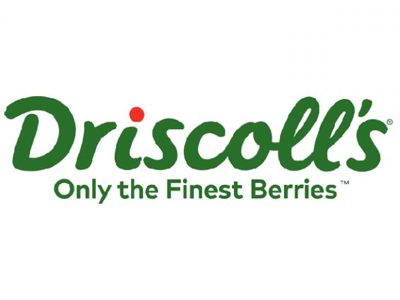 Driscoll's