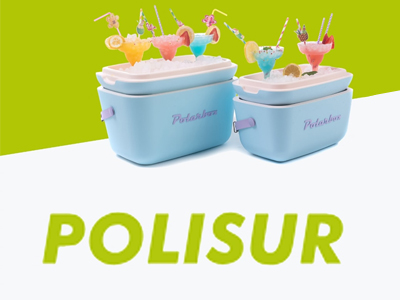 Polisur