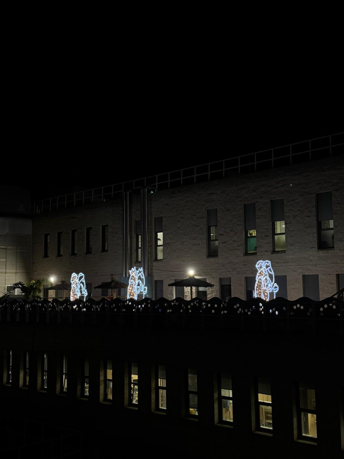 El Hospital Juan Ramon Jimenez iza la bandera del Patio del Amor y anuncia su inauguracion el 3 de noviembre